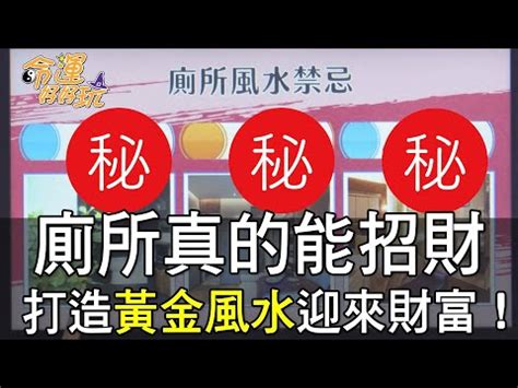 黃金葛禁忌|黃金葛旺宅5大妙招